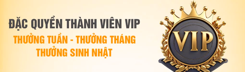code rr88vip66 tặng tiền
